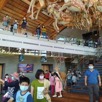 "The first day of the National Day holiday-Zuozhen Fossil Park is a popular attraction for parents and children"