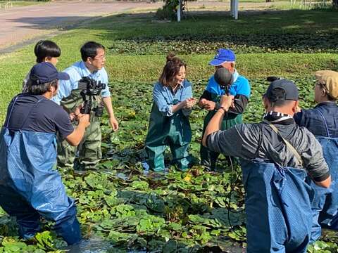 "The mayor and Wang Caihua Guantian Junior High School experience water chestnut mining"