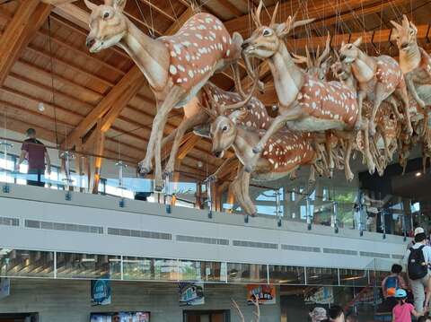 "The Zuozhen Fossil Park is flooded with people"