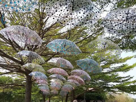 "People have a happy group photo under the umbrella"