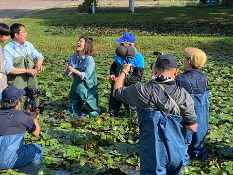 "The mayor and Wang Caihua went to Guantian Junior High to experience water chestnut mining"