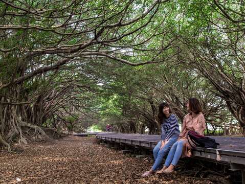 "The diversified open space in the Changsheng camp area preserves trees, ecology and the relics of old military buildings, and has complete public facilities and a resting environment"