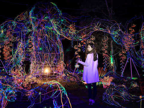 "The Ryugasaki Light Festival is praised by netizens as "the most beautiful" mountain forest lantern festival in the country"