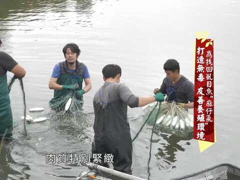 "Changying Seafood House"