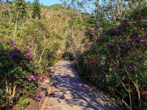 "Meiling Ancient Road"