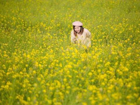 "Rapeseed field on the back wall"