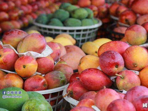 "Mango in Yujing District"