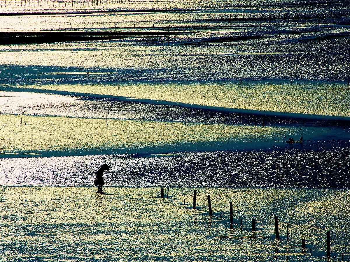 海岸