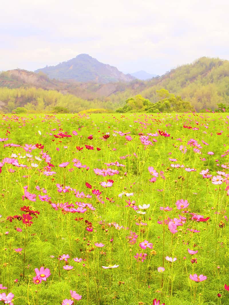 自然田園