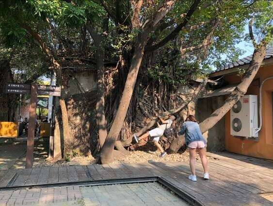 The inside of the Anping Tree House (3)
